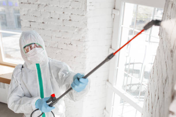 Best Asbestos and Lead Testing During Mold Inspection  in Brewerton, NY