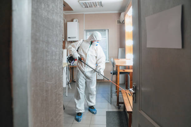 Best Basement Mold Removal  in Brewerton, NY